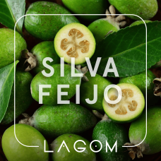 Табак Lagom Main Silva Feijo (Фейхоа) 200 гр