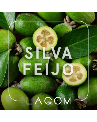 Тютюн Lagom Main Silva Feijo (Фейхоа) 200 гр