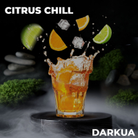 Тютюн DarkUa Citrus chill (апельсин, лайм, лід) 100 гр.
