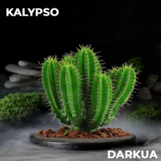 Тютюн DarkUa Kalypso (кактус) 100 гр.