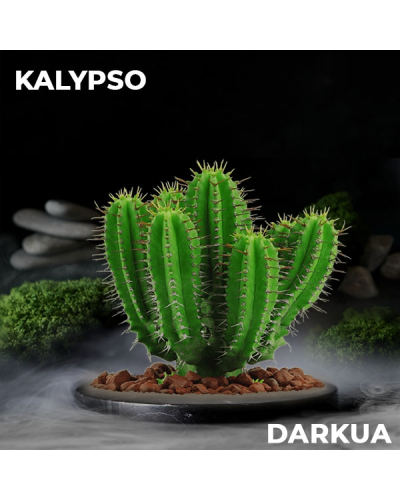 Тютюн DarkUa Kalypso (кактус) 100 гр.