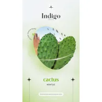 Безникотиновая смесь Indigo Cactus (Кактус) 100 гр