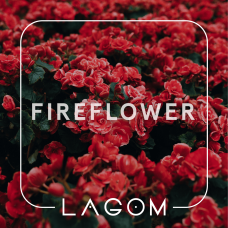 Тютюн Lagom Main Fireflower (Квітковий смак) 200 гр