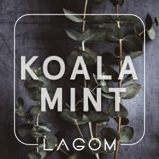 Тютюн Lagom Main Koala Mint (Орбіт) 200 гр