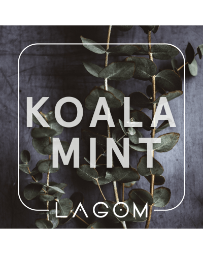 Тютюн Lagom Main Koala Mint (Орбіт) 200 гр