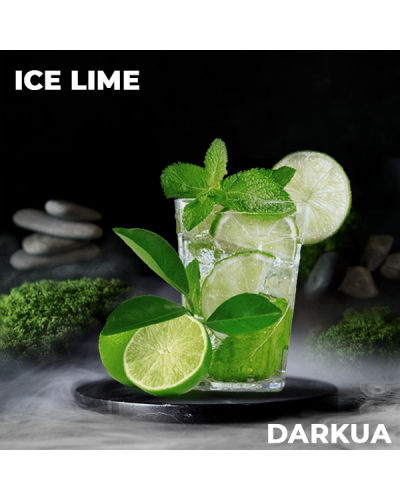 Тютюн DarkUa Ice Lime (лайм, лід, м’ята) 100 гр.