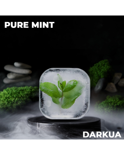 Табак DarkUa Pure Mint (Чистая Мята) 100 гр.