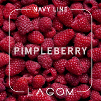 Табак Lagom Pimpleberry (Лесная Малина) 40 гр