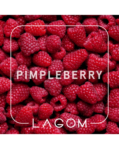 Табак Lagom Main Pimpleberry (Лесная Малина) 200 гр