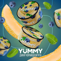 Тютюн Yummy Диня Чорниця М'ята 100г