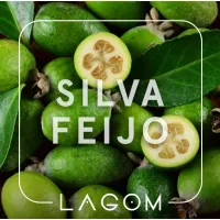 Табак  Lagom navy Silva feijo 2.0, 200гр